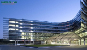 [New Zealand] Học Bổng Toàn Phần Bậc Thạc Sĩ Tại Đại Học Auckland 2021