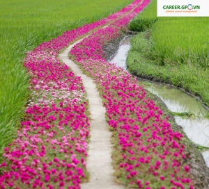 Người đưa thư trồng hoa