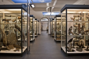 Ngành Bảo tàng học là gì? Học ngành Bảo tàng học ra trường làm gì?