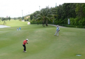 Khối T02 gồm những môn nào? Khối T02 gồm những ngành nào?