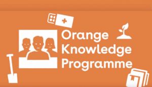 [Hà Lan] Học bổng toàn phần Thạc sĩ, khóa học ngắn hạn chương trình Orange Knowledge tại Đại học Hà Lan 2021