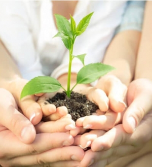 Ngành Công nghệ rau hoa quả và cảnh quan là gì? Học ngành Công nghệ rau hoa quả và cảnh quan ra trường làm gì?