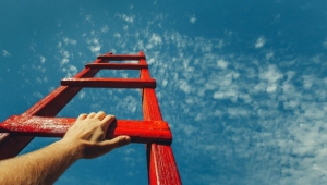 [Nghề nào cho em] Nghề nào cho tôi thành công?