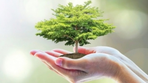 Ngành Khoa học môi trường là gì? Học ngành Khoa học môi trường ra trường làm gì?