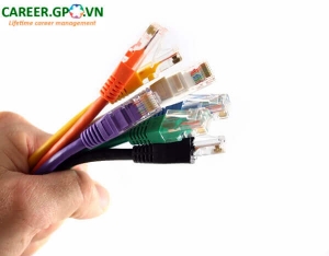 Không bằng cấp bạn cần làm gì?