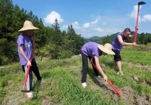 Cho con đi đào khoai, chặt củi để nếm 'mùi gian khổ'