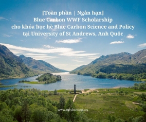 khóa học hè Blue Carbon Science and Policy tại University of St Andrews, Anh Quốc