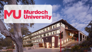 [Australia] Học Bổng Toàn Phần Bậc Thạc Sĩ Và Tiến Sĩ Tại Đại Học Murdoch 2027
