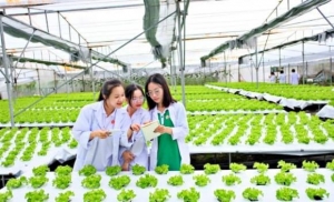 Ngành học không lo thất nghiệp, điểm chuẩn chỉ từ 16 điểm, ra trường lương 25 triệu/tháng, doanh nghiệp thi nhau săn đón
