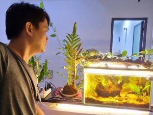 Bỏ nghỉ hưu sớm vì không chịu được nhàn rỗi