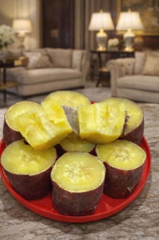 Cử nhân luật ra trường đầy đường, nhưng vì sao luật sư thành công lại rất hiếm?