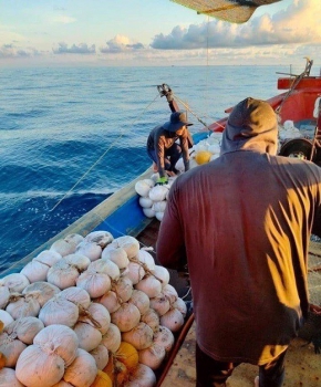 Giờ học ở biển của cậu học trò làm thuê trên tàu cá