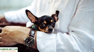 Cách để trở nên hài lòng hơn với công việc hiện tại