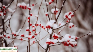 Vươn tới mục tiêu sự nghiệp của mình bằng cách thực hiện 5 thay đổi sau