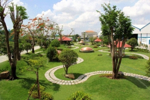 Ngành Lâm nghiệp đô thị là gì? Học ngành Lâm nghiệp đô thị ra trường làm gì?