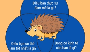 Ứng dụng thuyết con nhím trong hướng nghiệp