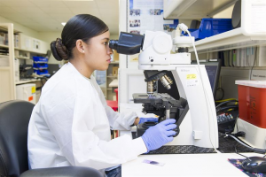 Kỹ sư công nghệ sinh học