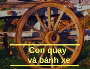 Con quay và bánh xe