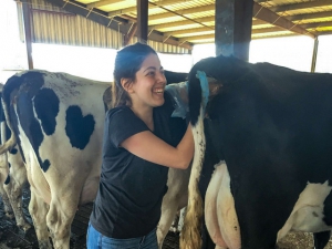 Nghề giúp gia súc 