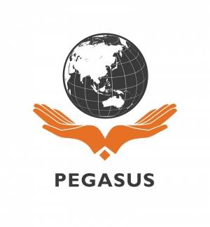 CAO ĐẲNG QUỐC TẾ PEGASUS