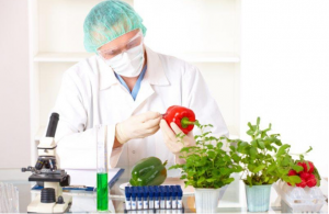 Kỹ sư Công nghệ thực phẩm