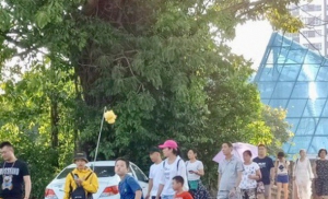 Khó khăn do dịch Covid-19, hướng dẫn viên tìm kế mưu sinh