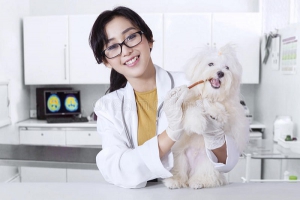 Bác sĩ thú y: Ngành học không mới nhưng công việc ổn định