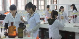 Đào tạo thạc sĩ theo hướng ứng dụng: Vẫn còn nghịch lý