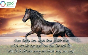 Còn phàn nàn, không cố gắng thì đến một lúc nào đó bạn sẽ thấy hối hận