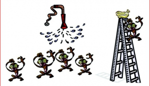 Triết lý 5 con khỉ và bài học về sự nỗ lực không ngừng chốn công sở