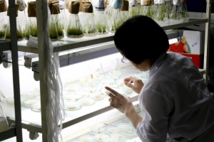 Đặc cách cho nhà khoa học xuất sắc