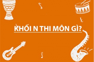 Khối N04 gồm những môn nào? Khối N04 gồm những ngành nào?