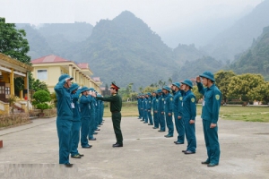 Ngành Quân sự cơ sở là gì? Học ngành Quân sự cơ sở ra trường làm gì?