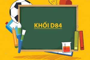 Khối D84 gồm những môn nào? Khối D84 gồm những ngành nào?