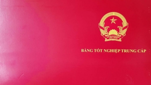 TRUNG CẤP VIỆT THUẬN