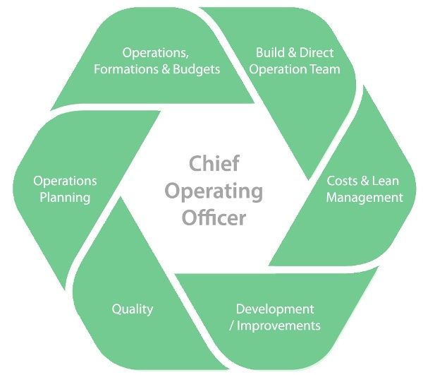 Role Of A Coo In A Small Company