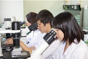 Ngành Khoa học đất là gì? Học ngành Khoa học đất ra trường làm gì?