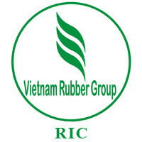 CAO ĐẲNG CÔNG NGHIỆP CAO SU