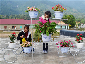 TRUNG CẤP NGHỀ DÂN TỘC NỘI TRÚ BẮC QUANG