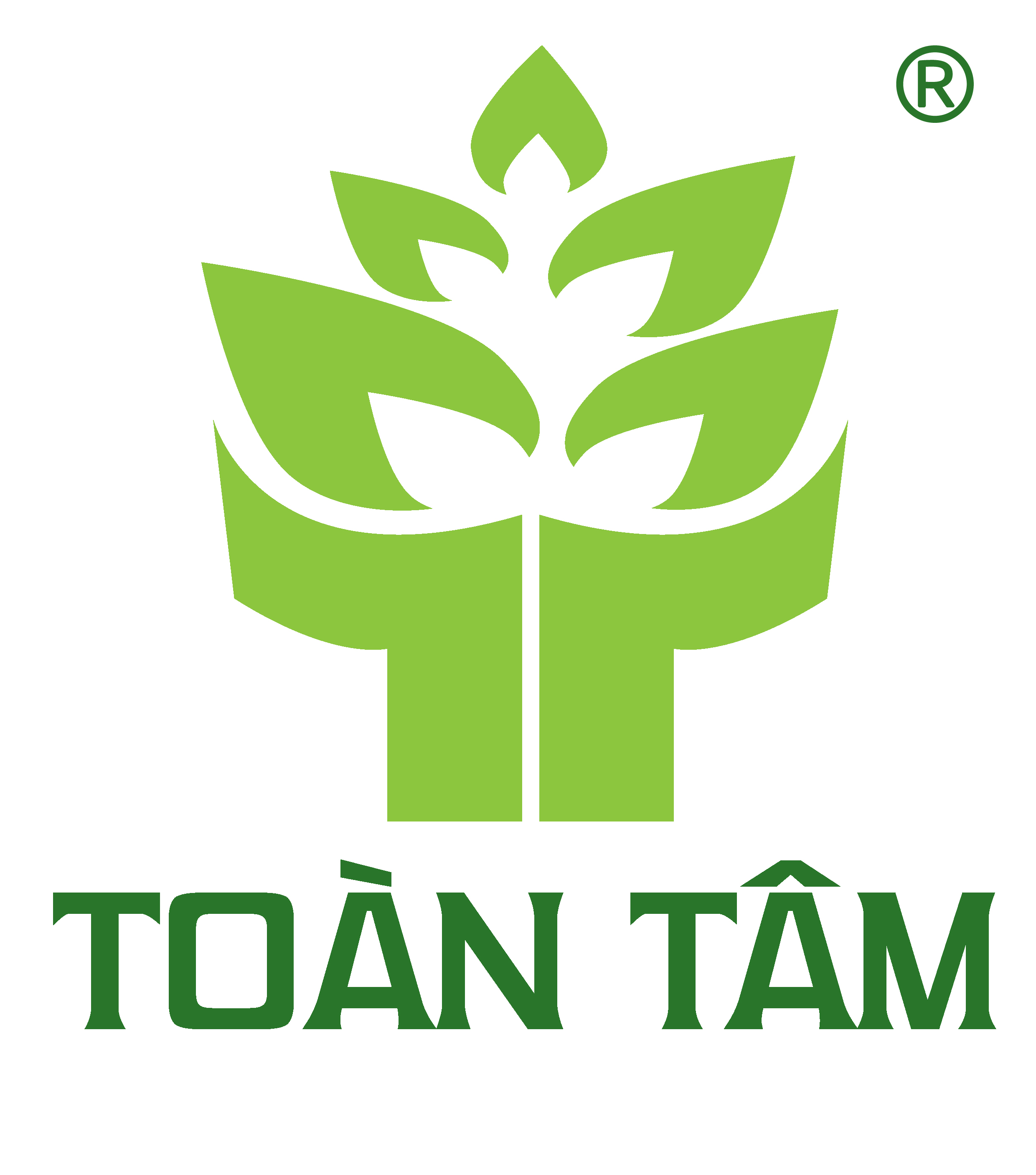 Nhân viên thi công giặt Sofa