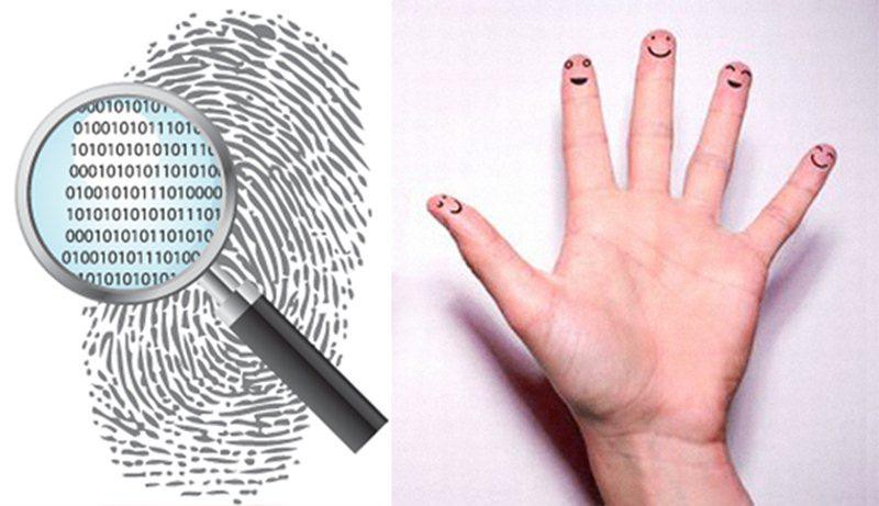 Hoa tay nói lên điều gì về nghề nghiệp và tính cách của bạn?