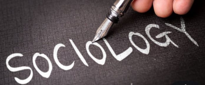 Học ngành xã hội học làm nghề gì? Cơ hội việc làm ra sao?