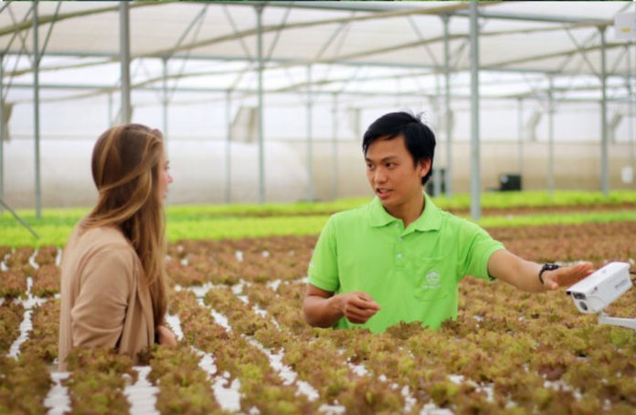 Nghề trồng trọt đang dần được sinh viên hướng đến nhiều hơn