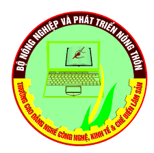 CAO ĐẲNG CÔNG NGHỆ, KINH TẾ VÀ CHẾ BIẾN LÂM SẢN