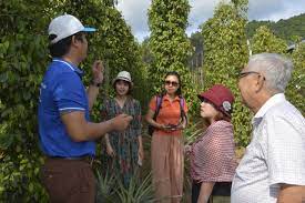 Bấp bênh cuộc sống của hướng dẫn viên du lịch trong đại dịch Covid-19